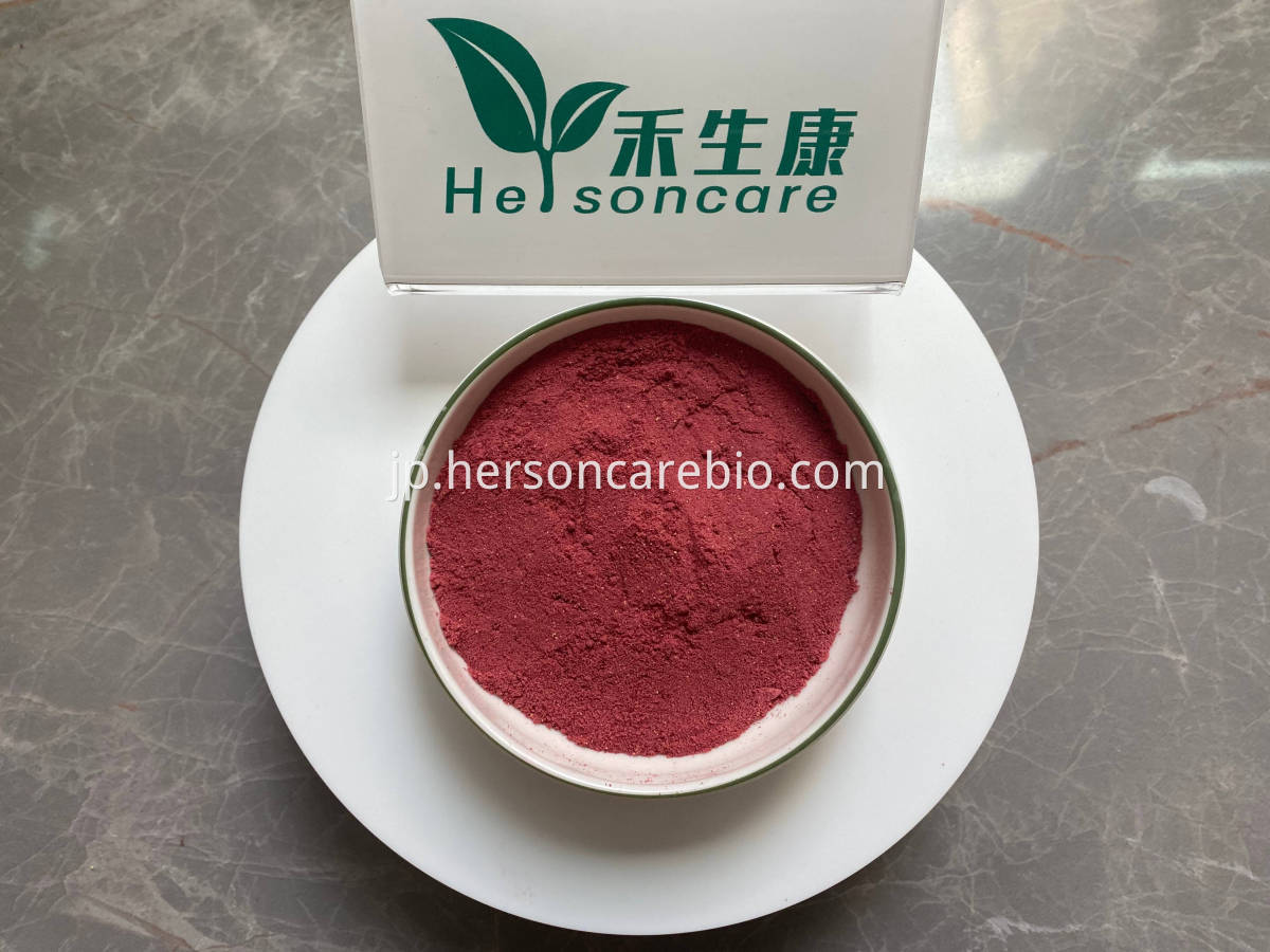 Freeze Dried Raspberry Powder Close-up showing fine texture and vibrant color